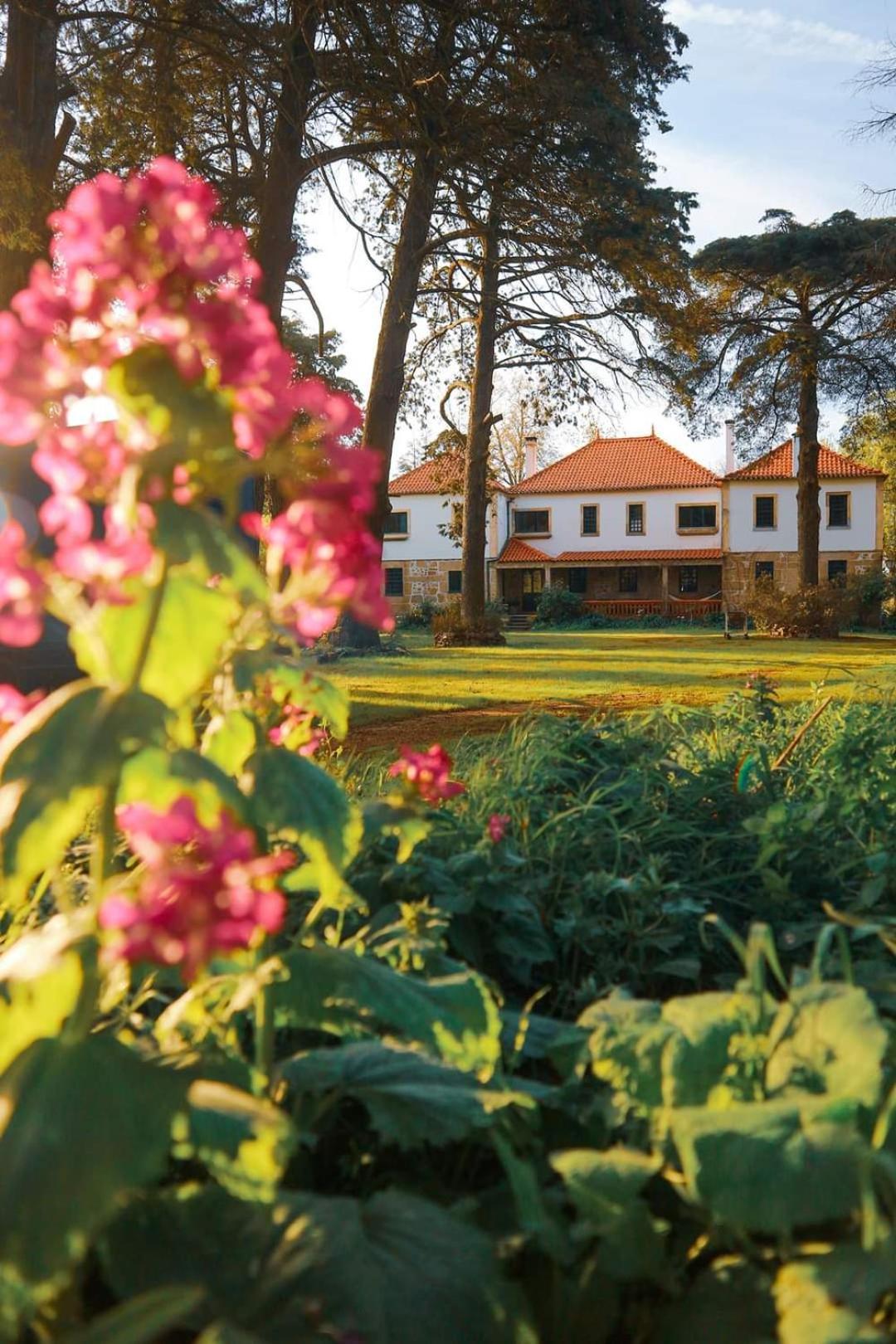 Lugar Da Pedra Alta - B&B - Private Historical Villa Melo Buitenkant foto