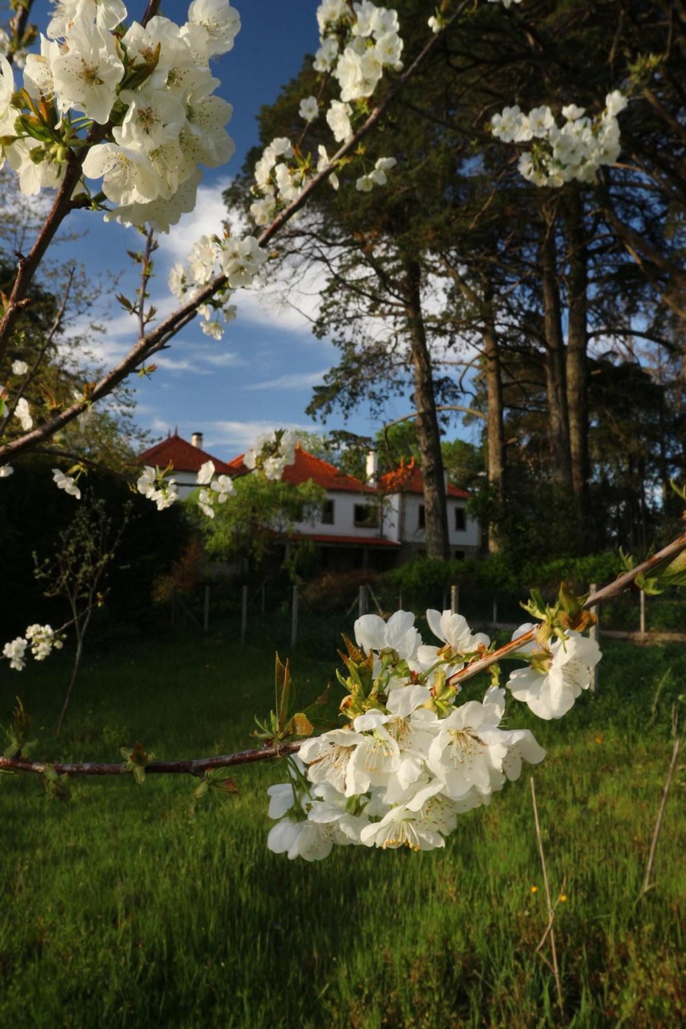 Lugar Da Pedra Alta - B&B - Private Historical Villa Melo Buitenkant foto